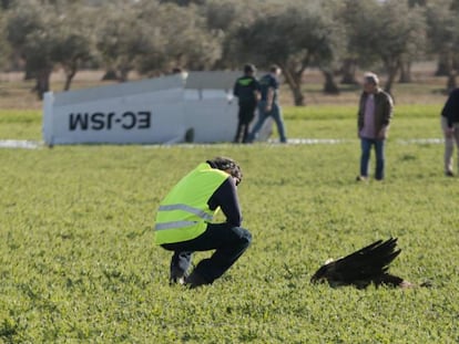 Un agente observa los restos del ave contra la que chocó una avioneta.