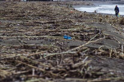 Un hombre observa los desechos de cañizal que abarrota la playa de Estepona (Málaga).