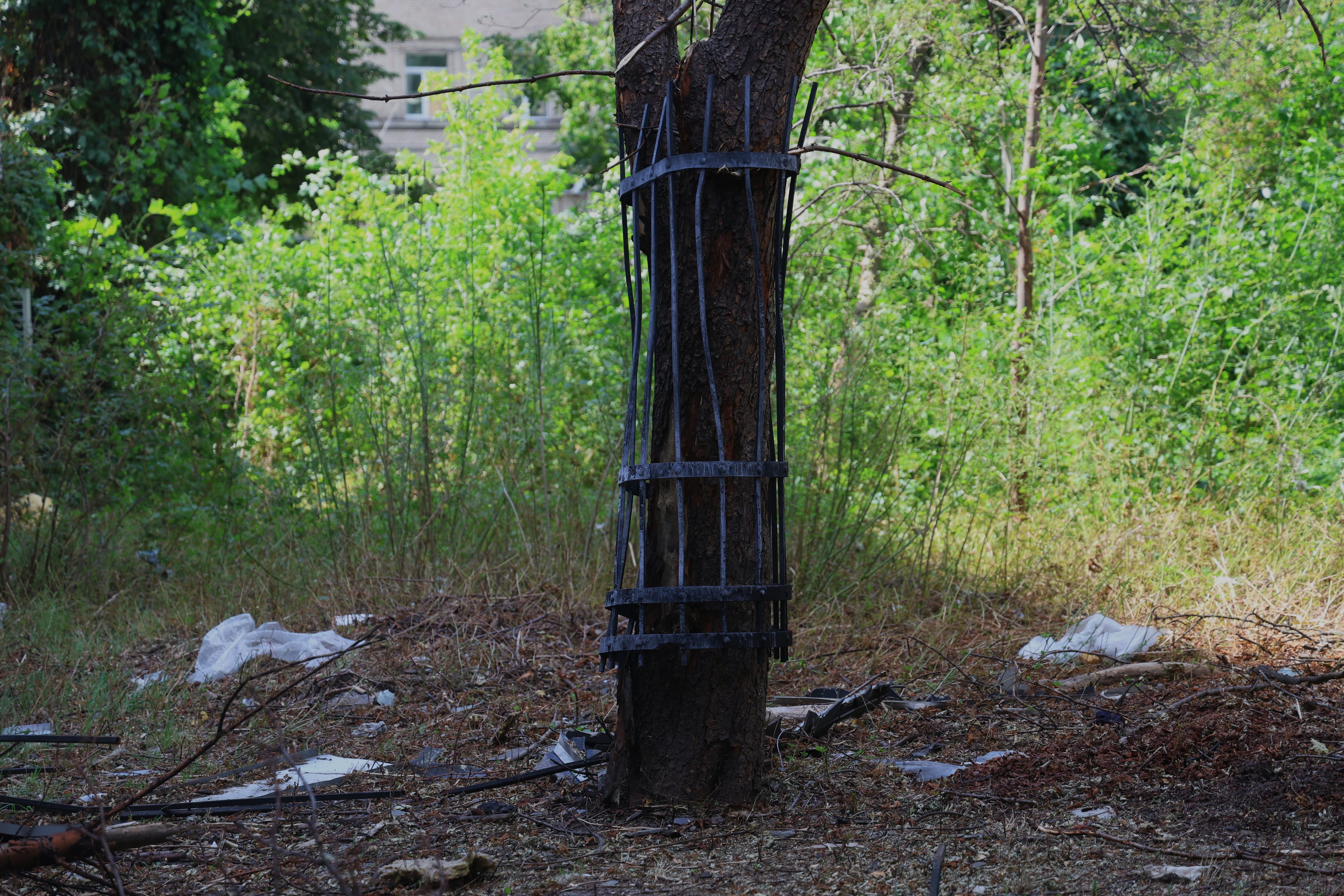 Parte de la verja de los estudios lanzada por la onda expansiva contra un árbol.