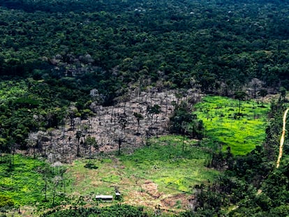 El departamento Madre de Dios, al sureste de Perú, vive los efectos de la deforestación por la ampliación agrícola.