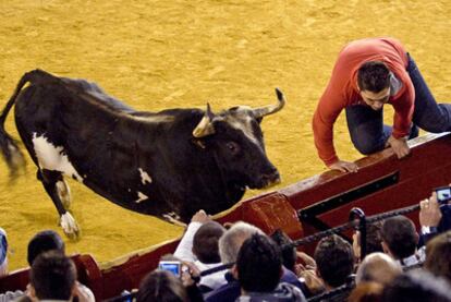 A man jumps the barrier to avoid a goring from Ratón during a festival in March 2009.