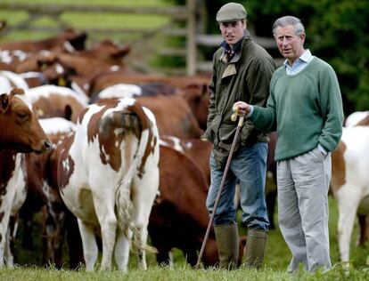 El pr&iacute;ncipe Carlos de Inglaterra junto a su hijo Guillermo, en la granja de Gloucestershire, donde cultivan sus alimentos ecol&oacute;gicos.