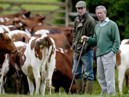 El príncipe Carlos de Inglaterra junto a su hijo Guillermo, en la granja de Gloucestershire, donde cultivan sus alimentos ecológicos.