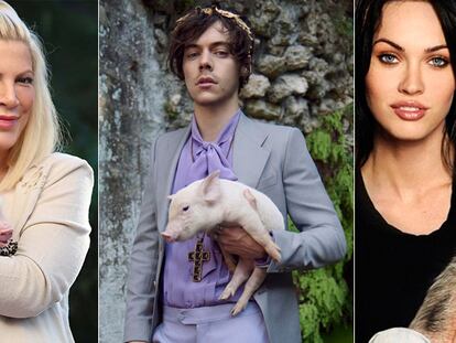 La extraña fascinación de los famosos por los cerdos