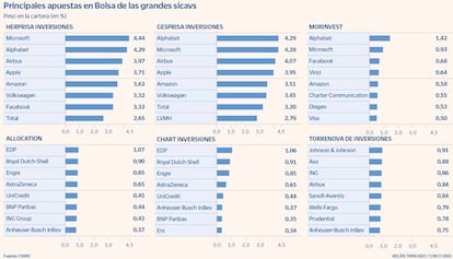 Principales apuestas en Bolsa de las grandes sicavs