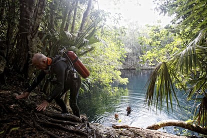El cenote Angelita, una poza circular de poco más de 60 metros de profundidad y que se encuentra a 17 kilómetros de Tulum (México).