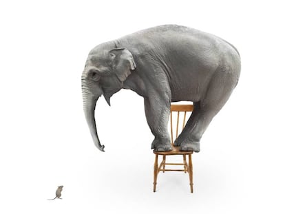 La triste historia de ‘Topsy’,  la elefanta de circo electrocutada en Nueva York por Edison, el inventor de la bombilla (y de la silla eléctrica) 