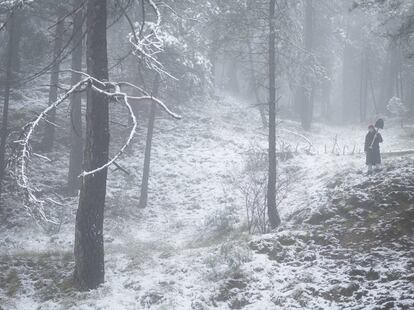 En el bosque (2014).