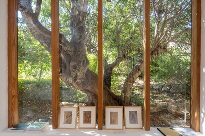 Vista de la galería de arte Espacio Micus, en Cala Llonga, Ibiza.