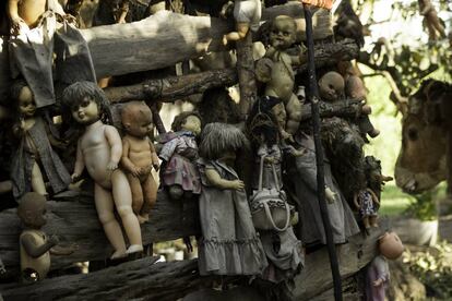Algunos de los terroríficos habitantes de la isla de las Muñecas, en Xochimilco, Ciudad de México.