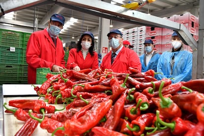 La presidenta del Parlamento andaluz, Marta Bosquet, de rojo, en el centro, durante una visita a la cooperativa Vicasol 3 en El Ejido (Almería).