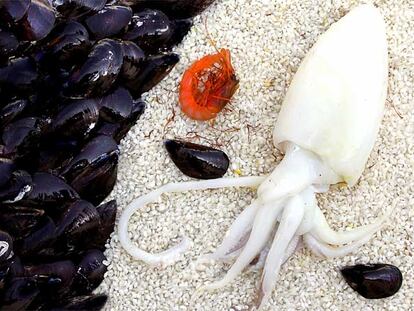 Ingredientes de la paella marinera, en un homenaje a Joan Miró y su cuadro Pájaro, insecto, constelación