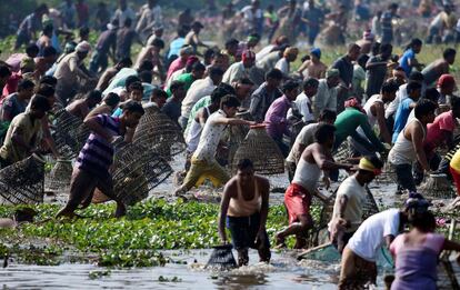 Cientos de hombres pescan durante la celebración del festival 'Magh Bihu', en Guwahati, Assam (India). 