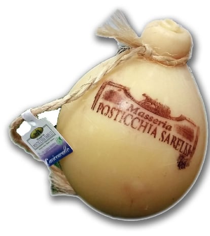 Caciocavallo. Azienda Agricola E Zootecnica Posticchia Sabelli (www.posticchiasabelli.com) Italia.