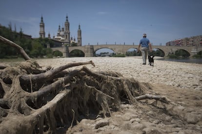 Un hombre pasea con su perro sobre el río Ebro seco.