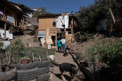 Elizabeth Rodríguez y su esposo Patricio Cea ingresan a su casa en el campamento Toma la Cancha, en una ladera de la comuna Lo Barnechea en Santiago. Los asentamientos informales en Chile eran menos frecuente que en otros países de la región, el reciente crecimiento se debe a el aumento de desempleo por la pandemia.