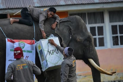 Un mahout y oficiales indonesios cargan materiales electorales sobre un elefante que se dirige a un centro de votación durante las elecciones presidenciales en Trumon, provincia de Aceh del Sur.