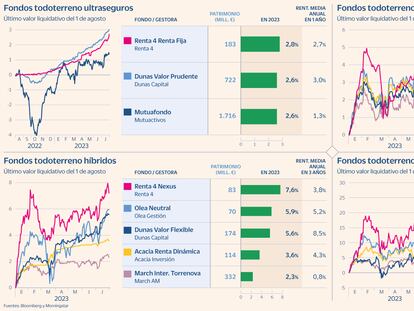 18 vehículos de inversión que se han sobrepuesto a los vaivenes del mercado