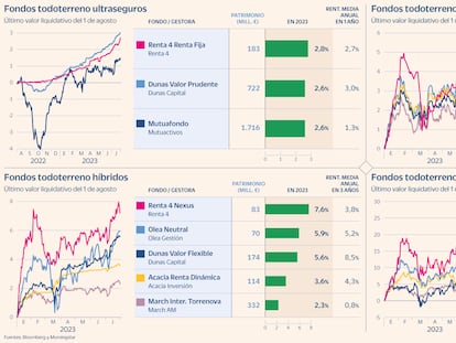 18 vehículos de inversión que se han sobrepuesto a los vaivenes del mercado