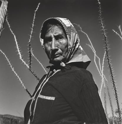 'Deserto di Sonora'.
