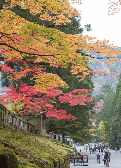 El ‘momiji’ en la ciudad de Nikko.