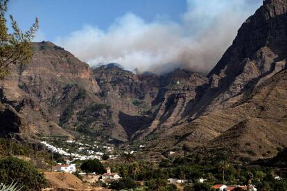 El incendio forestal declarado este sábado en Gran Canaria ha entrado en el Parque Natural de Tamadaba.