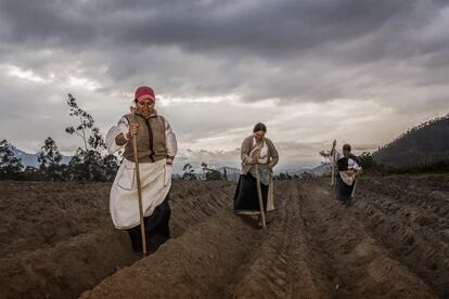 Imagen ganadora. Sembrando el futuro. Colombia.