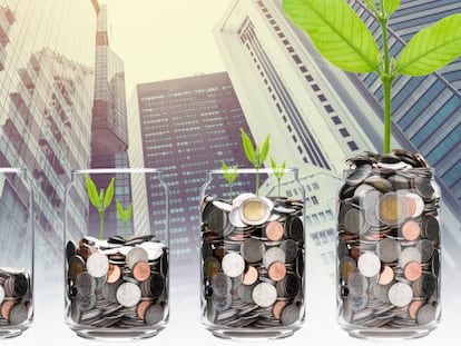 Los mejores fondos para invertir en dividendos