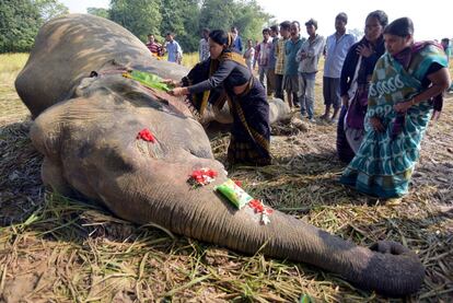 Una mujer ora frente al cadáver de un elefante macho, electrocutado en un campo de arroz en la aldea de Gendhali Bebejia, según las autoridades forestales, en el distrito de Nagaon, estado de Assam.