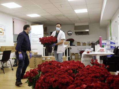 El Clínic reparteix 5.000 roses als pacients i treballadors per Sant Jordi.
