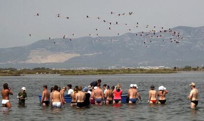 Un grupo de turistas rusos, en la bah&iacute;a de los Alfaques, contempla el paso de una bandada de flamencos.