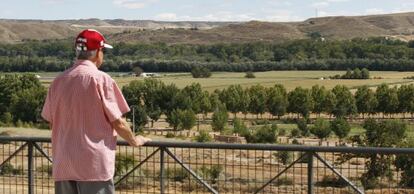 Un hombre observa los terrenos de ampliación en Colmenar de Oreja.