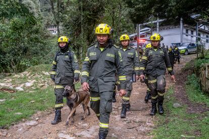 Cuerpo de Bomberos de Bogotá durante la búsqueda en el cerros de Monserrate.