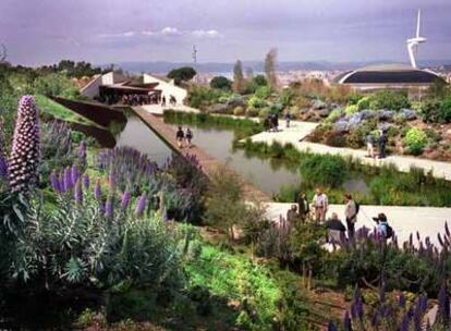 El nuevo Jardín Botánico de Barcelona, dedicado a la flora de clima mediterráneo, acaba de cumplir ocho años.