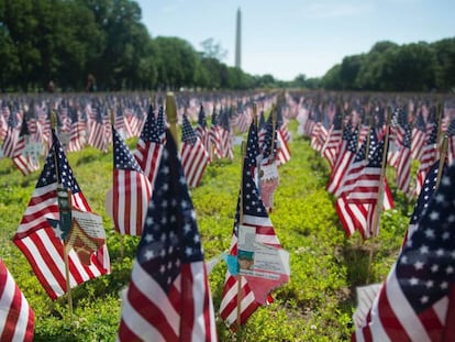Banderas en honor a los veteranos en el National Mall de Washington.