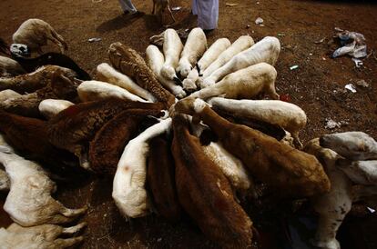 Vendedores de ganado muestran sus ovejas en la capital de Sudán, Jartum.