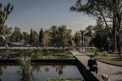 El lago de la segunda sección del bosque de Chapultepec.