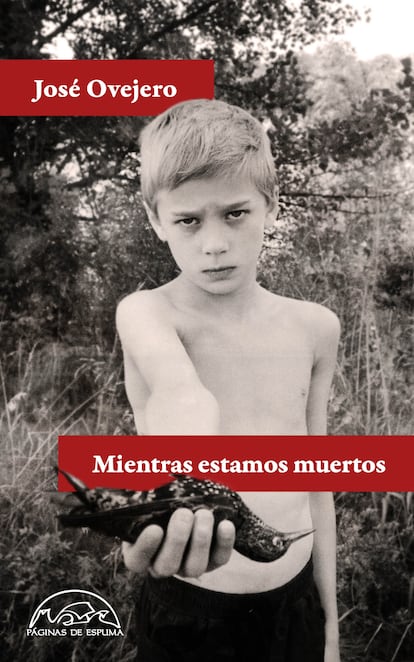 Portada libro 'Mientras estamos muertos', de José Ovejero. EDITORIAL PÁGINAS DE ESPUMA