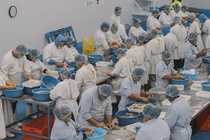 Trabajadores del Grupo Acuícola en Los Mochis, Sinaloa (México). En septiembre de 2023.