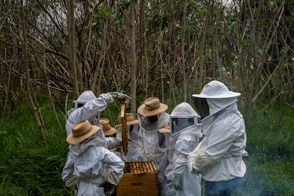 Sandra Corales productora de miel del colectivo Abejas de barrio.