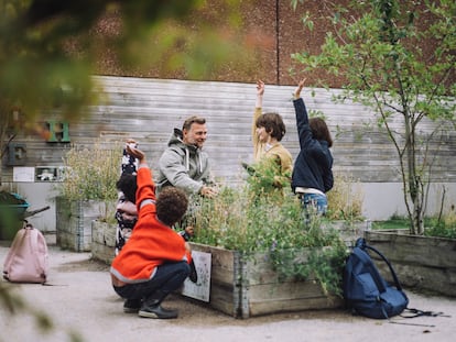 Naturalizar los patios escolares estimula el pensamiento crítico de los niños.