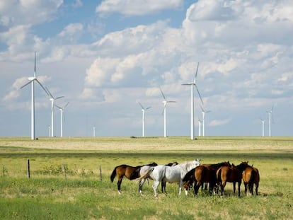 Parque e&oacute;lico de Iberdrola en Twin Buttes, Colorado.