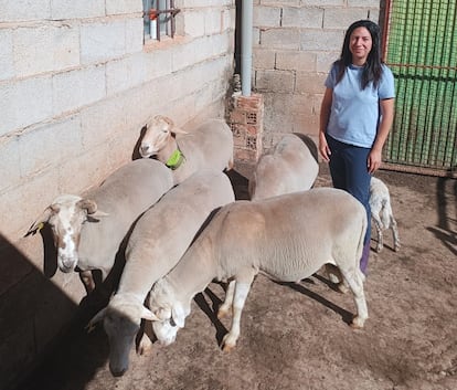 Lourdes Perona, ganadera de Valdepeñas de Jaén, con sus ovejas que portan collares inteligentes, en una imagen cedida por ella.