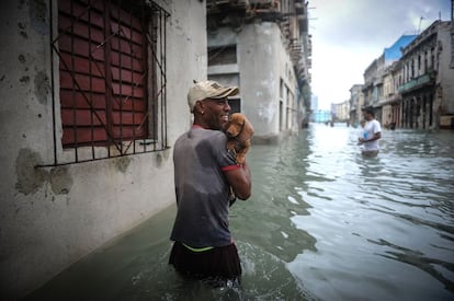 Un cubano lleva a su mascota por una calle cerca del malecón en La Habana (Cuba).