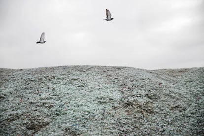 In this Sunday, Jan. 24, 2016 photo, birds fly above broken glass later to be recycled at the Phoenicia Glass Works Ltd. factory in the southern Israeli town of Yeruham. Phoenicia Glass Works Ltd. produces a million bottles and containers a day for beverage giants Coca Cola, Pepsi, and Heineken, as well as Israeli wineries and olive oil companies. Every day, about 300,000 bottles come out of the ovens with defects. (AP Photo/Oded Balilty)