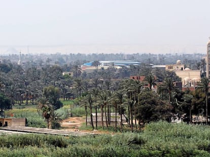 Una iglesia (dcha.) y una mezquita (izq.) comparten espacio entre cultivos en El Cairo (Egipto), este mi&eacute;rcoles.