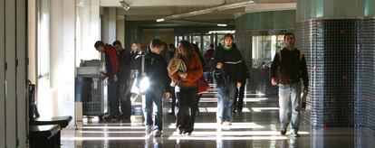 Un grupo de alumnos universitarios en los pasillos de una facultad.