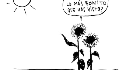 Flavita Banana: feliz ignorancia