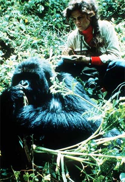 Sigourney Weaver, en un fotograma de 'Gorilas en la niebla'.