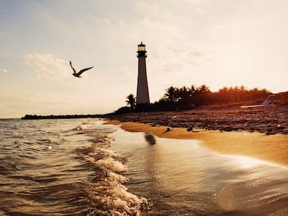 Una gaviota vuela junto a un faro en el cabo Bill Baggs en Florida.